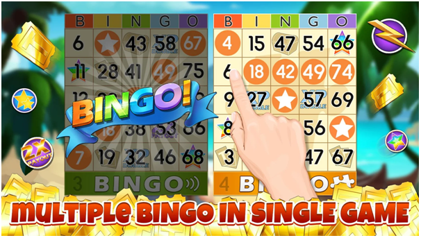 How to play at Bingo Party